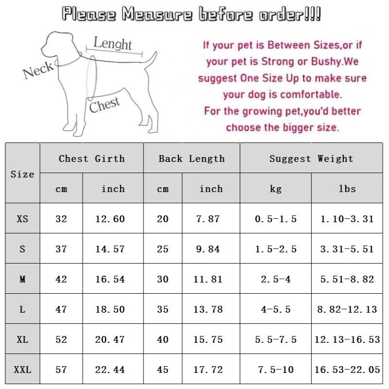 Simple Dog Clothes For Autumn And Winter, Bear Warm Fleece Jackets, Sweaters, Vests, Teddy Cat Two-legged Coats, Pet Clothes