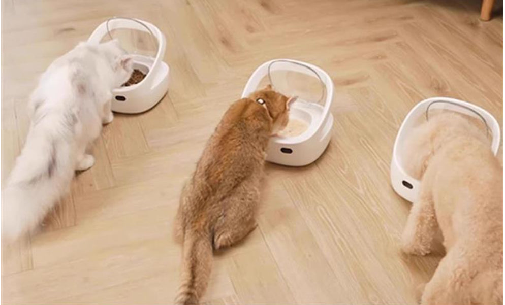 Smart Pet Feeder Prevent Stealing Accurate