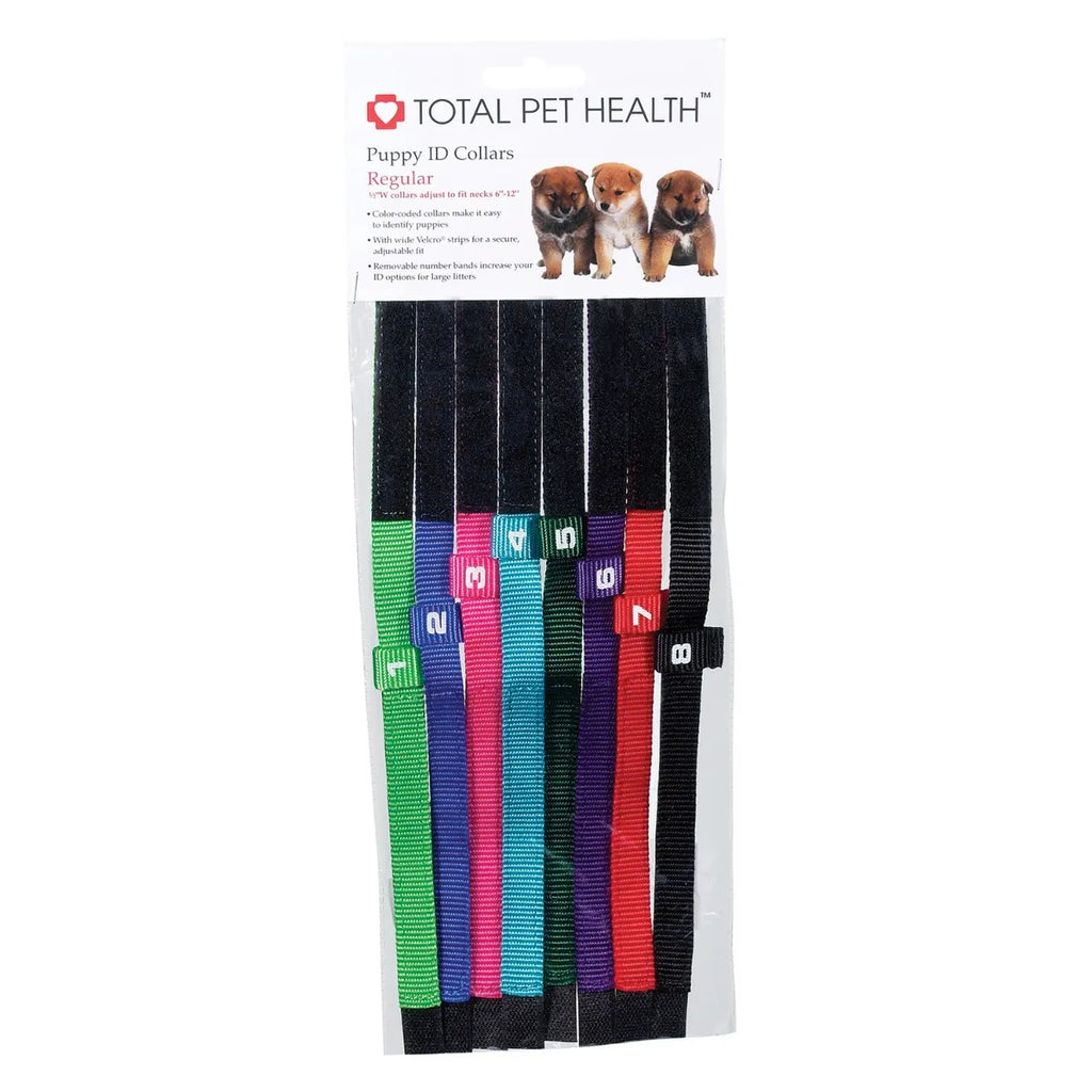 Piccardmeds4pets Aloe Oats Dog Shampoo + Total Pet Health Puppy ID Collars 8-Pack Combo