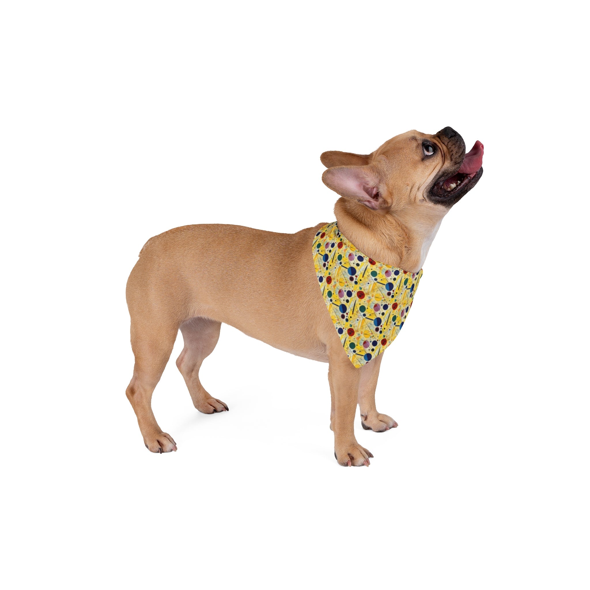 Sunlit Geometry: Orbits and Lines in Repeating Motion - Pet Bandana Pet Zen