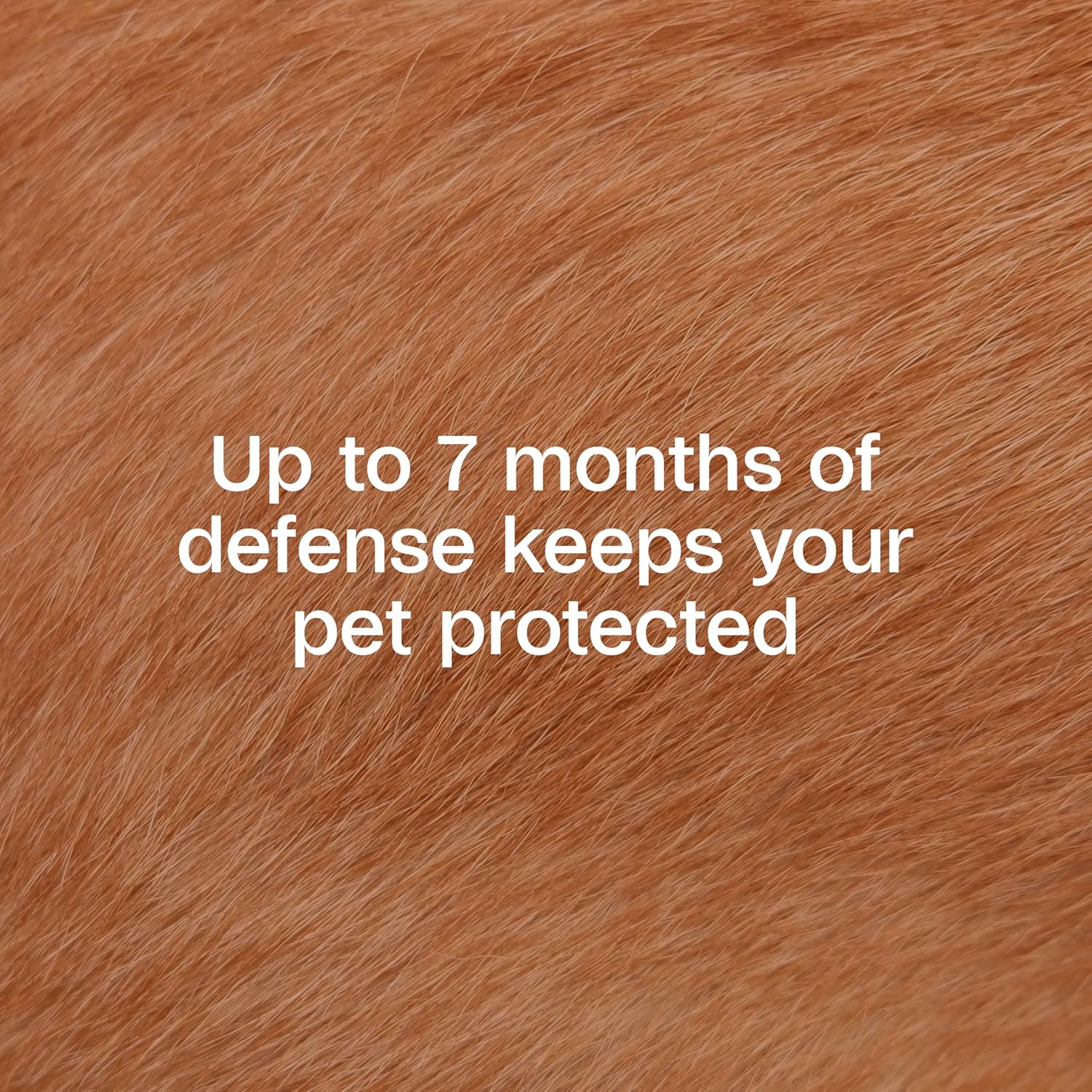 Adams Plus Flea Tick Collar Dogs 7-Month Large Dogs Puppies Kills Fleas Ticks