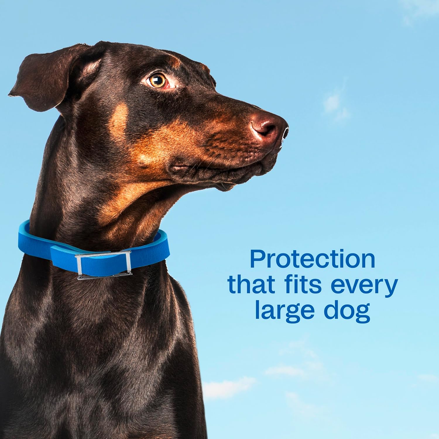 Adams Plus Flea Tick Collar Dogs 7-Month Large Dogs Puppies Kills Fleas Ticks