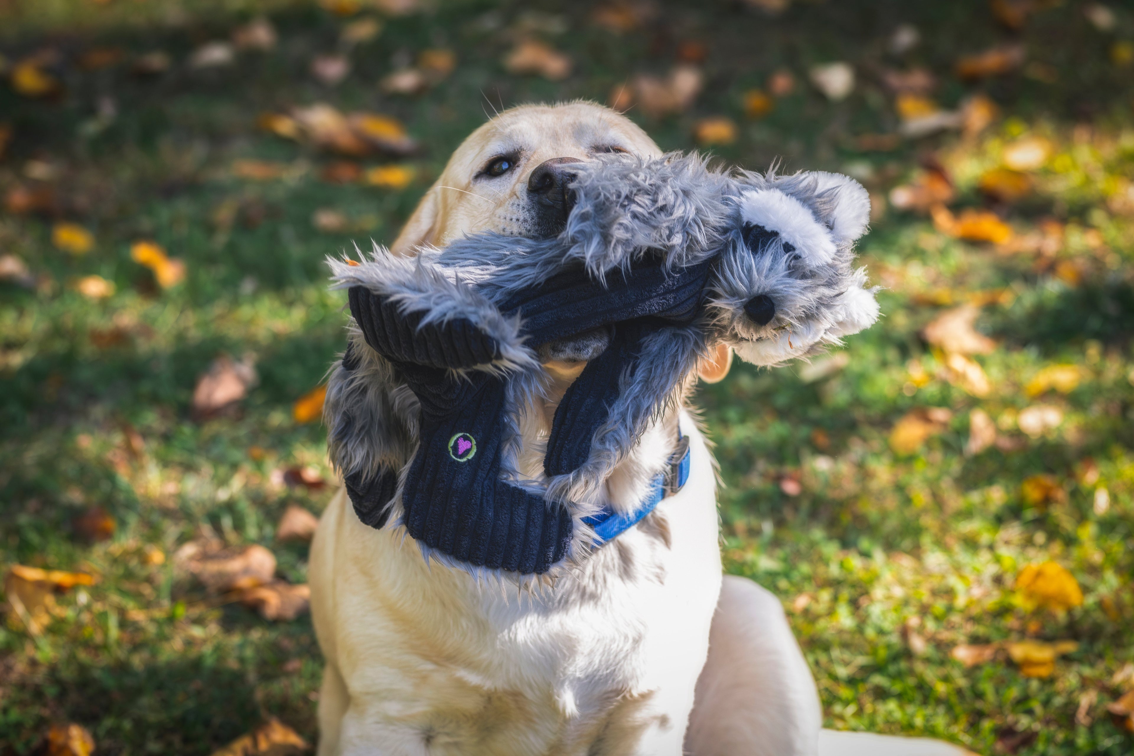 Redwood Raccoon X-Brace® Plush Dog Toy