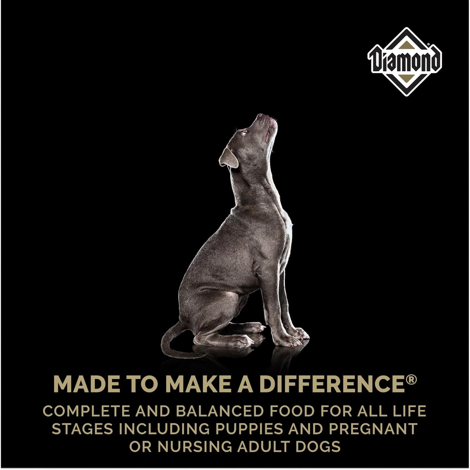 Diamond Puppy Formula All Life Stages 31/20 Suitable Nursing Adult Dog Food 6lb