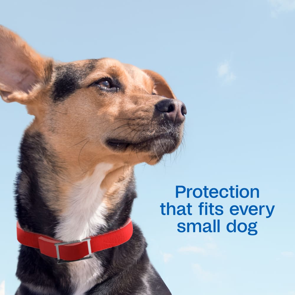Adams Plus Flea & Tick Collar for Small Dogs & Puppies 7 Month Protection 3PK