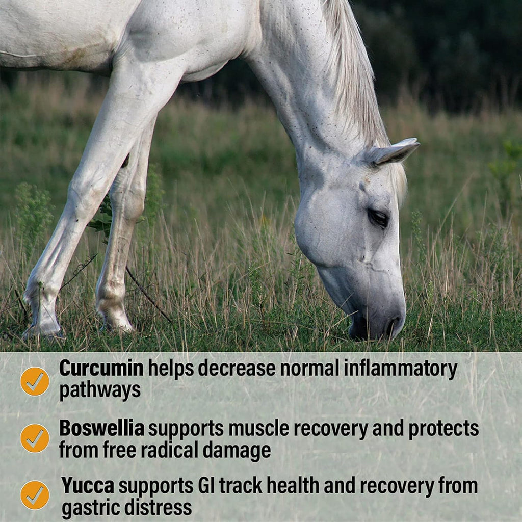 Absorbine Bute-Less Performance Comfort & Recovery Support Pellets 3.75 lbs.