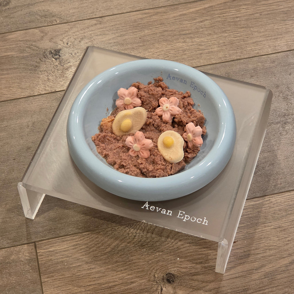 Aevan Epoch | Frosted Acrylic Pet Bowl Stand