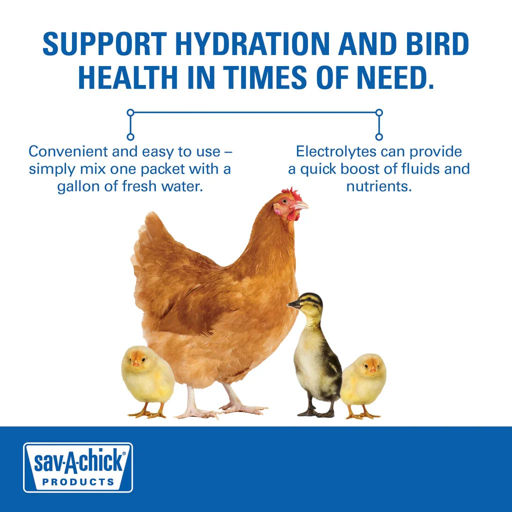 Chicken Bird Sav-a-chick Poultry Vitamins Electrolytes Supplement Stress Relief 9pck