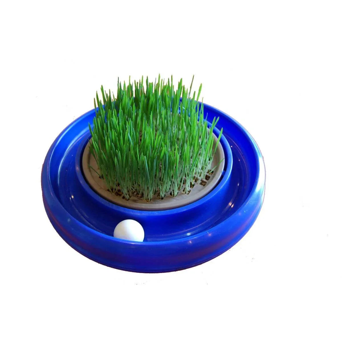 Bergan Turbo Scratcher Cat Grass Interactive Fun Reusable Planter