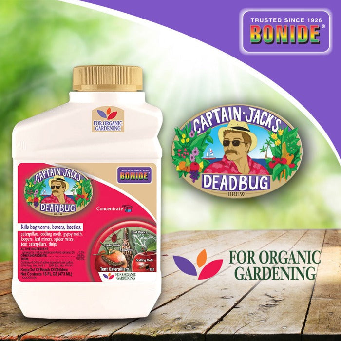 Bonide Captain Jack's Dead Bug Brew Concentrate