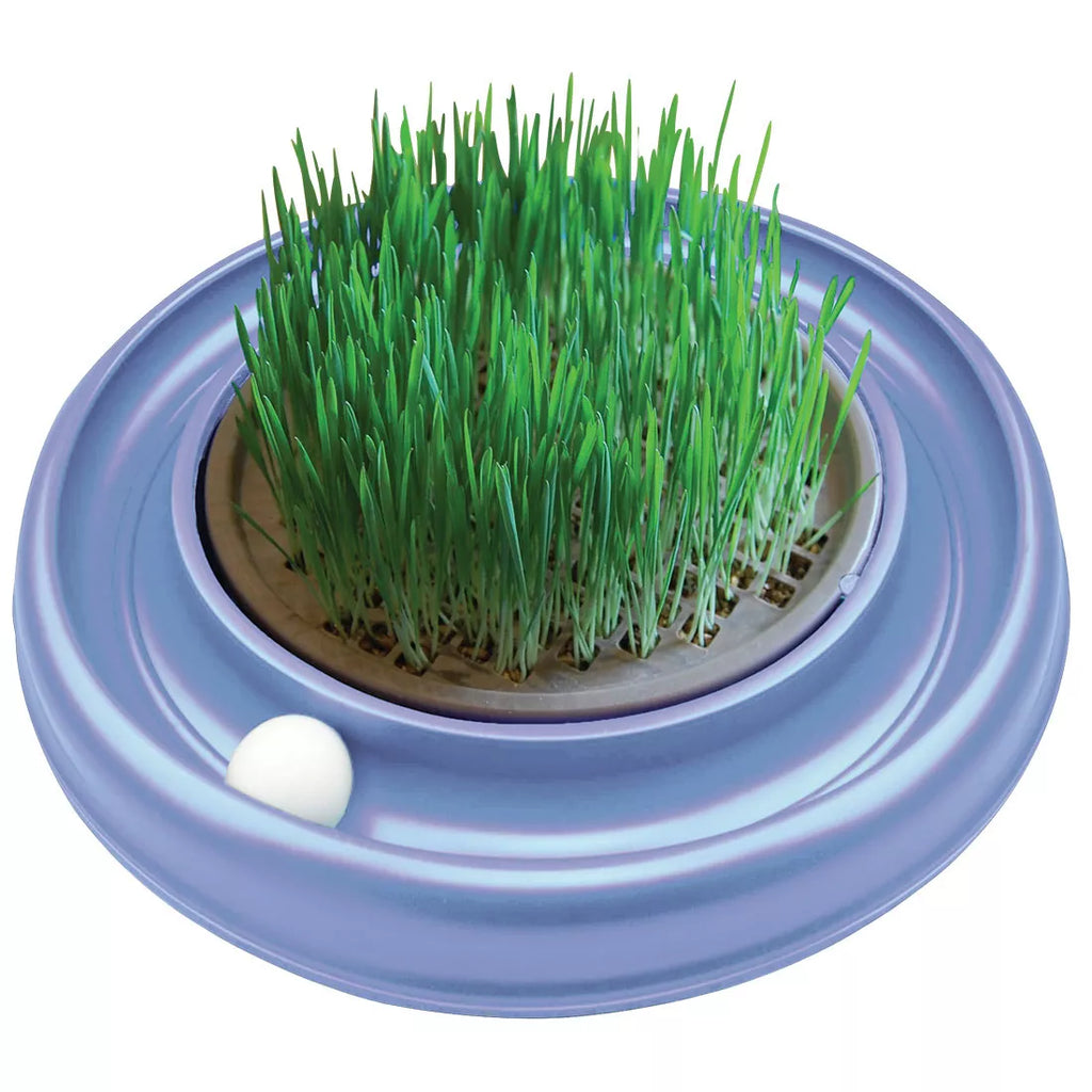 Bergan Turbo Scratcher Cat Grass Interactive Fun Reusable Planter