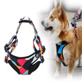 Dog's chest harness traction rope