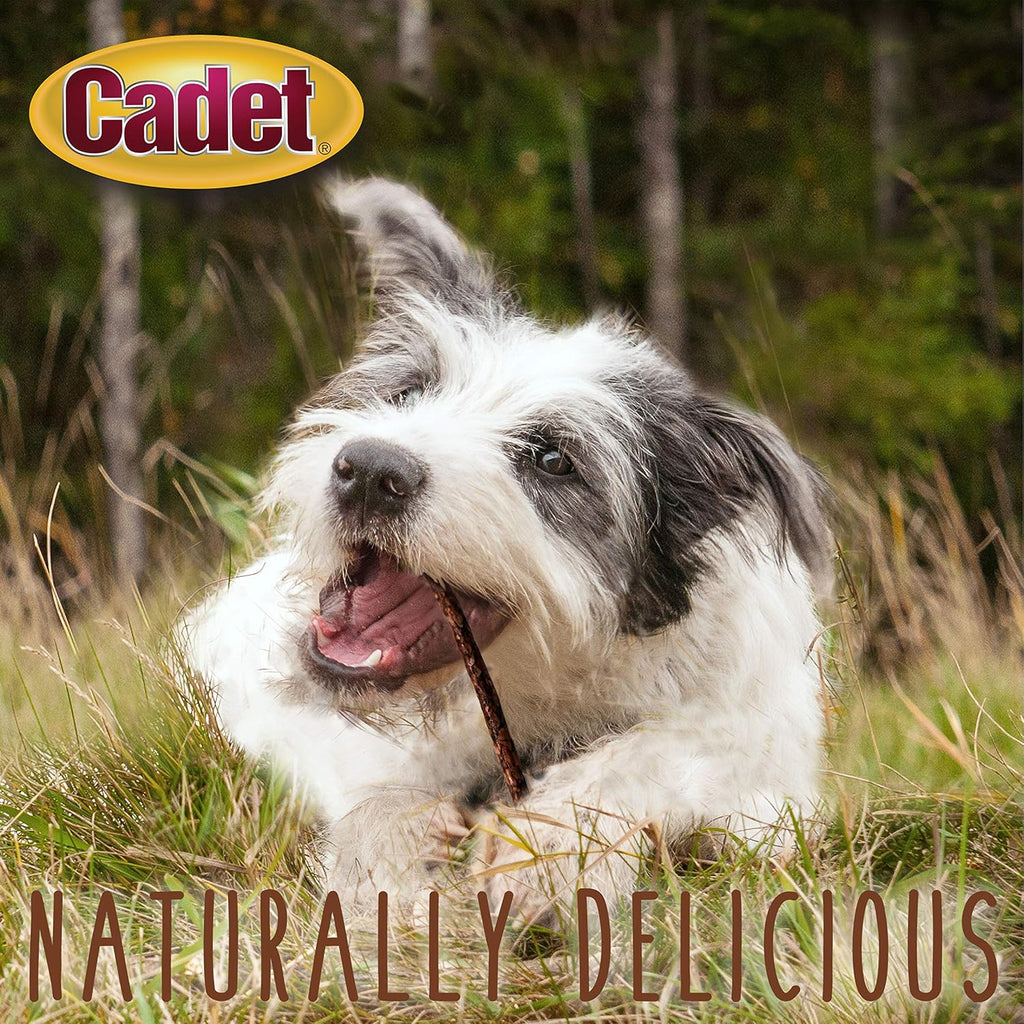 Cadet Rawhide Munchy Sticks Beef Basted Dog Treats 5" 100PCK