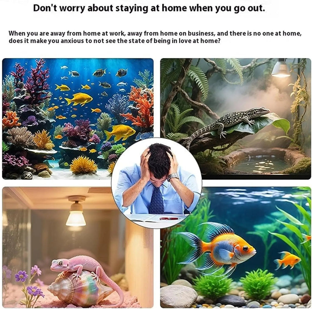 2K HD Aquarium WiFi Camera with Night Vision & Smart Monitoring