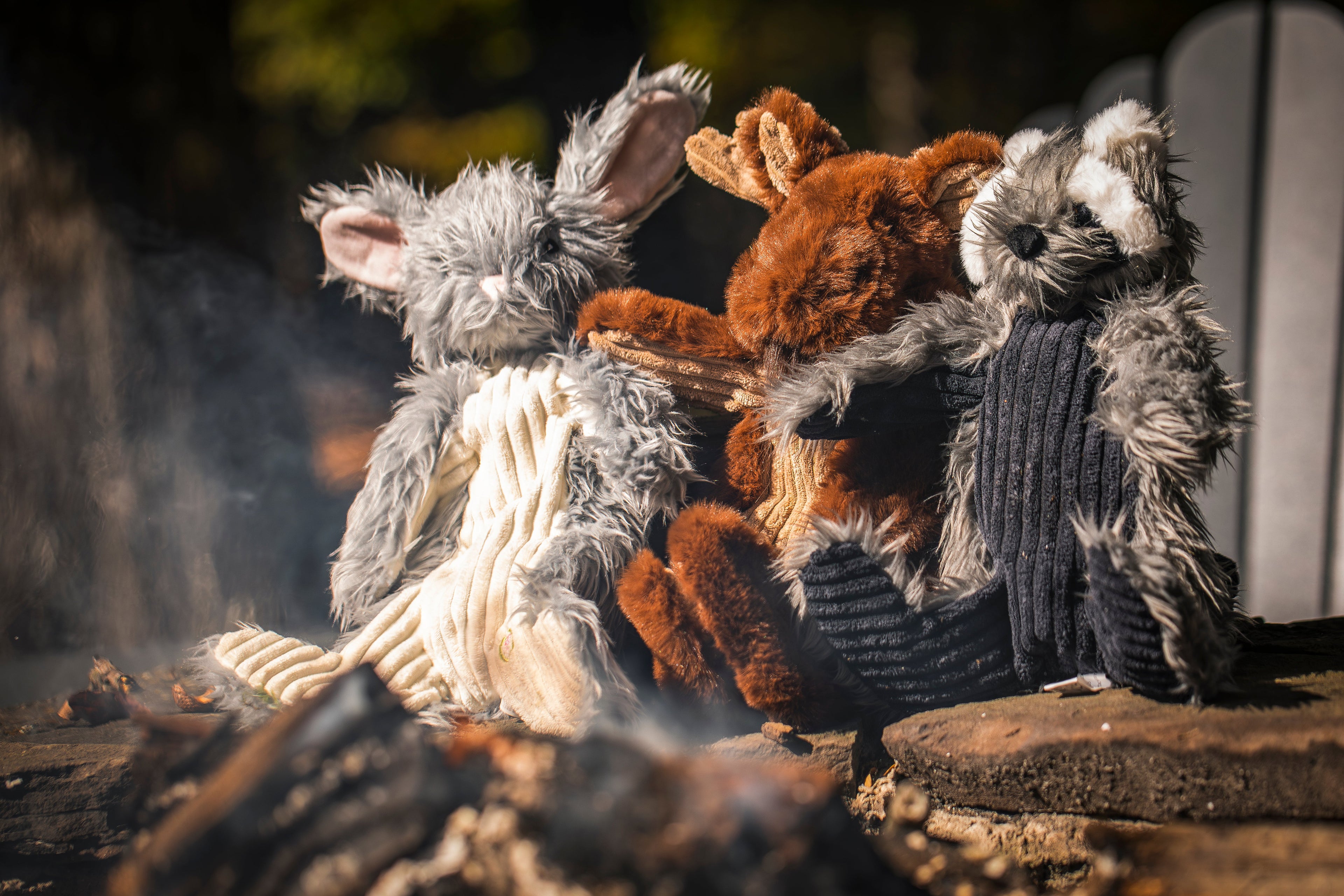 Birch Bunny X-Brace® Plush Dog Toy
