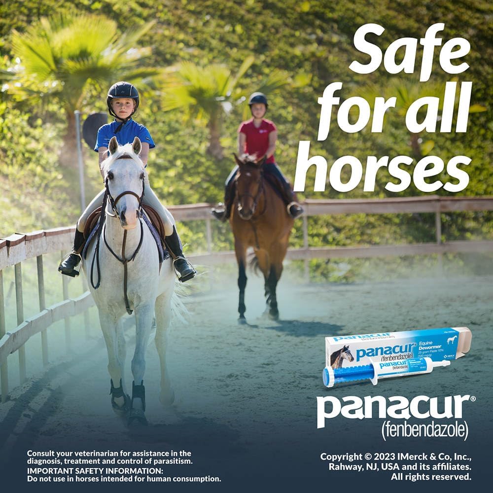 Panacur Equine Paste 10% Horse Dewormer 25g Apple Flavor 100mg