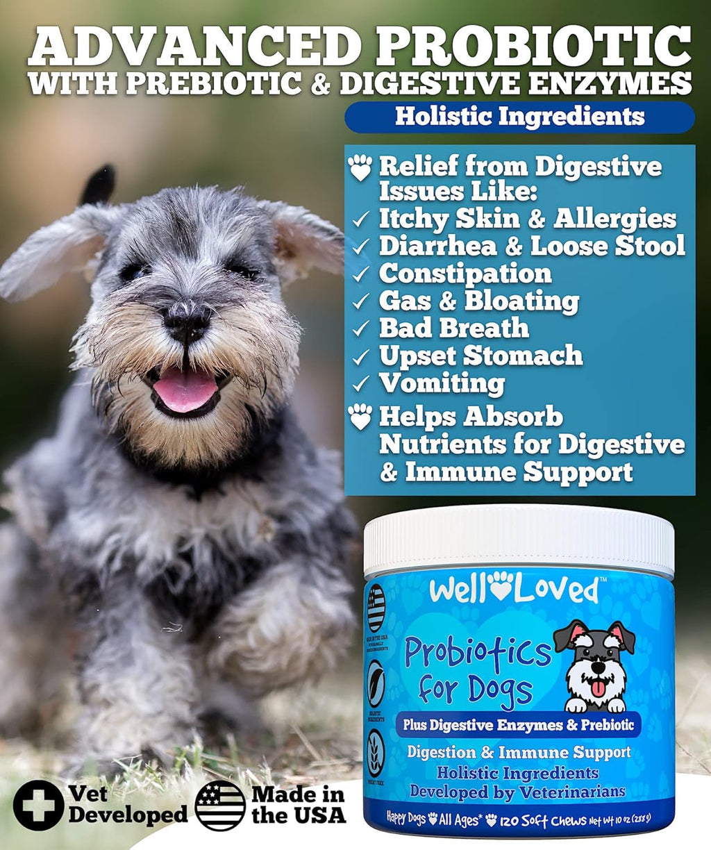 Well Loved Probiotics for Dogs with Prebiotics & Digestive Enzymes