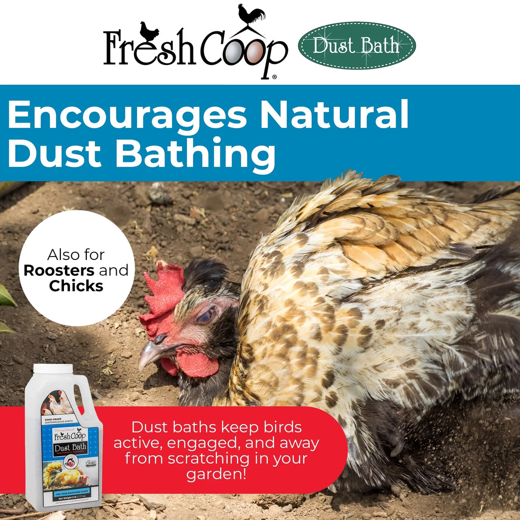 Fresh Coop Dust Bath Shaker Absorbent Chicken Bird Bath Backyard Poultry 6lbs.