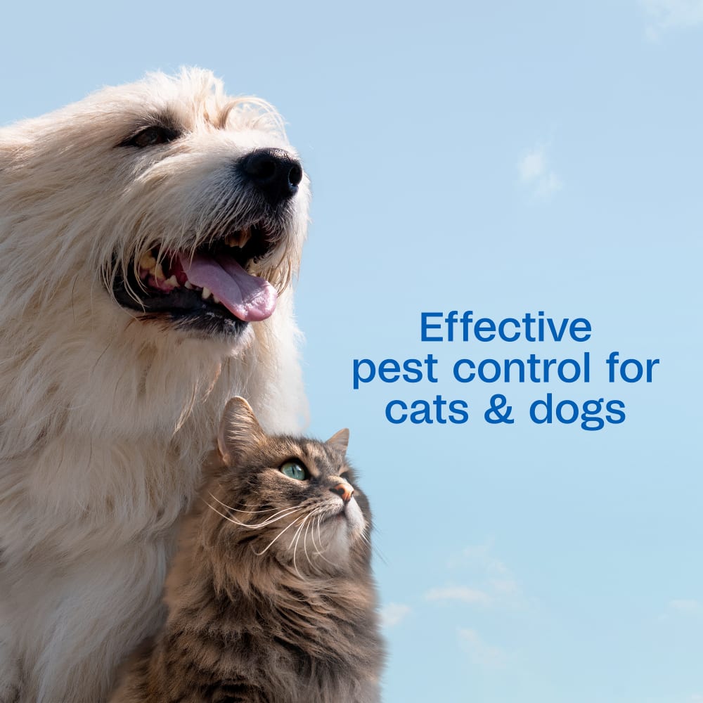 Adams Plus Pet Fleas & Ticks Spray for Cats and Dogs 32 oz.