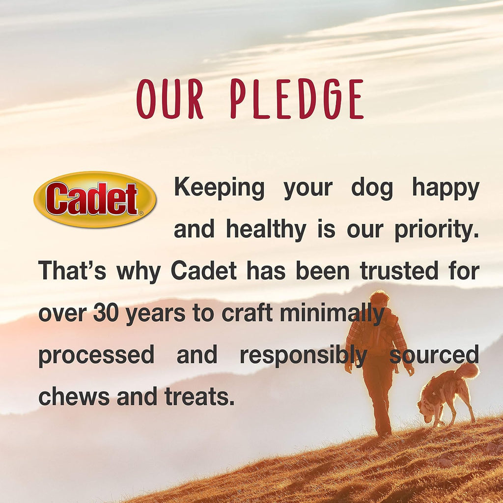 Cadet Pressed Rawhide Bones 6.5" Dog Chews Long Lasting Beef Hide 12 Pack