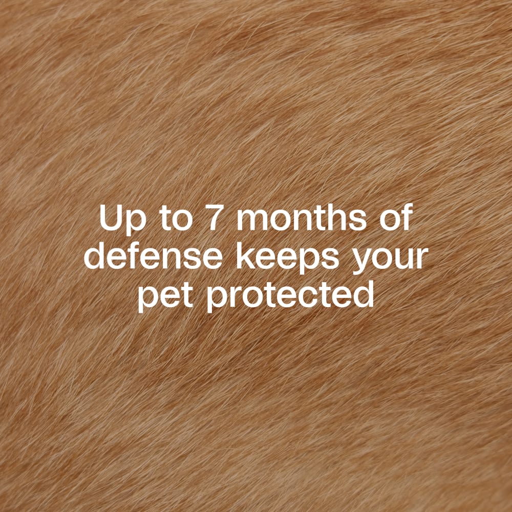 Adams Plus Flea & Tick Collar for Small Dogs & Puppies 7 Month Protection