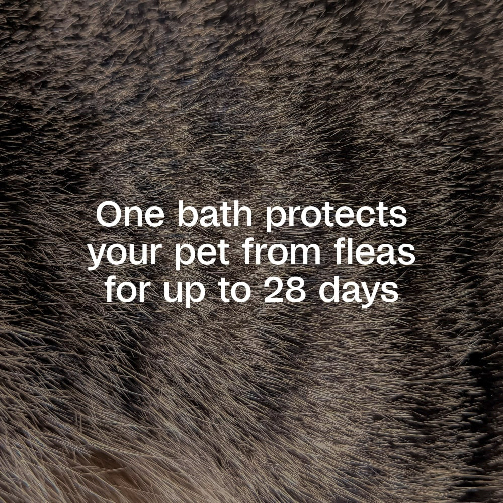 Adams Plus Flea and Tick Shampoo with Precor for Cats and Dogs Gallon