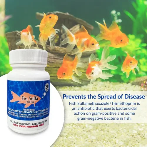 Fish Sulfa 960mg Tablets for Aquarium Fish – 30 Count – Water Care Support