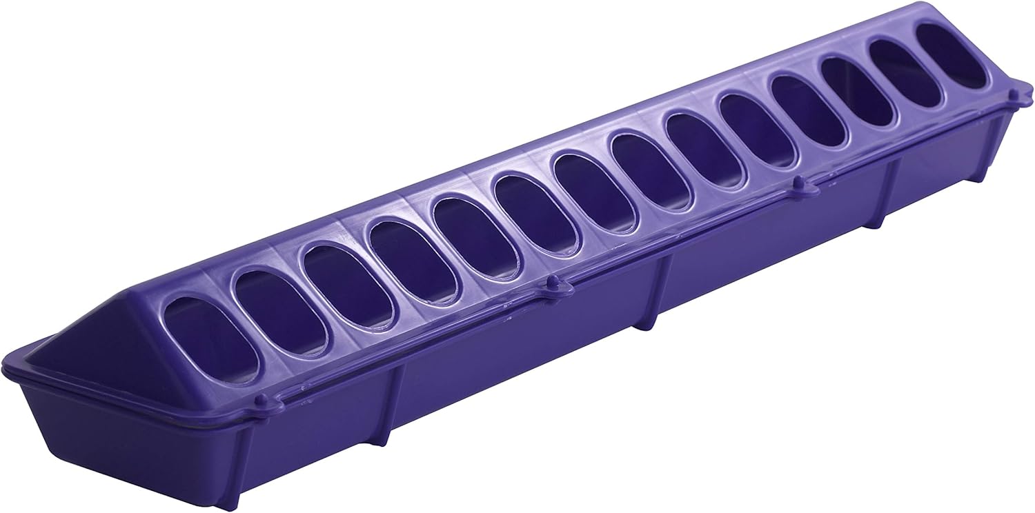 Little Giant 20" Plastic Flip-Top Poultry Ground Feeder, Purple Chickens Birds 2-Pack