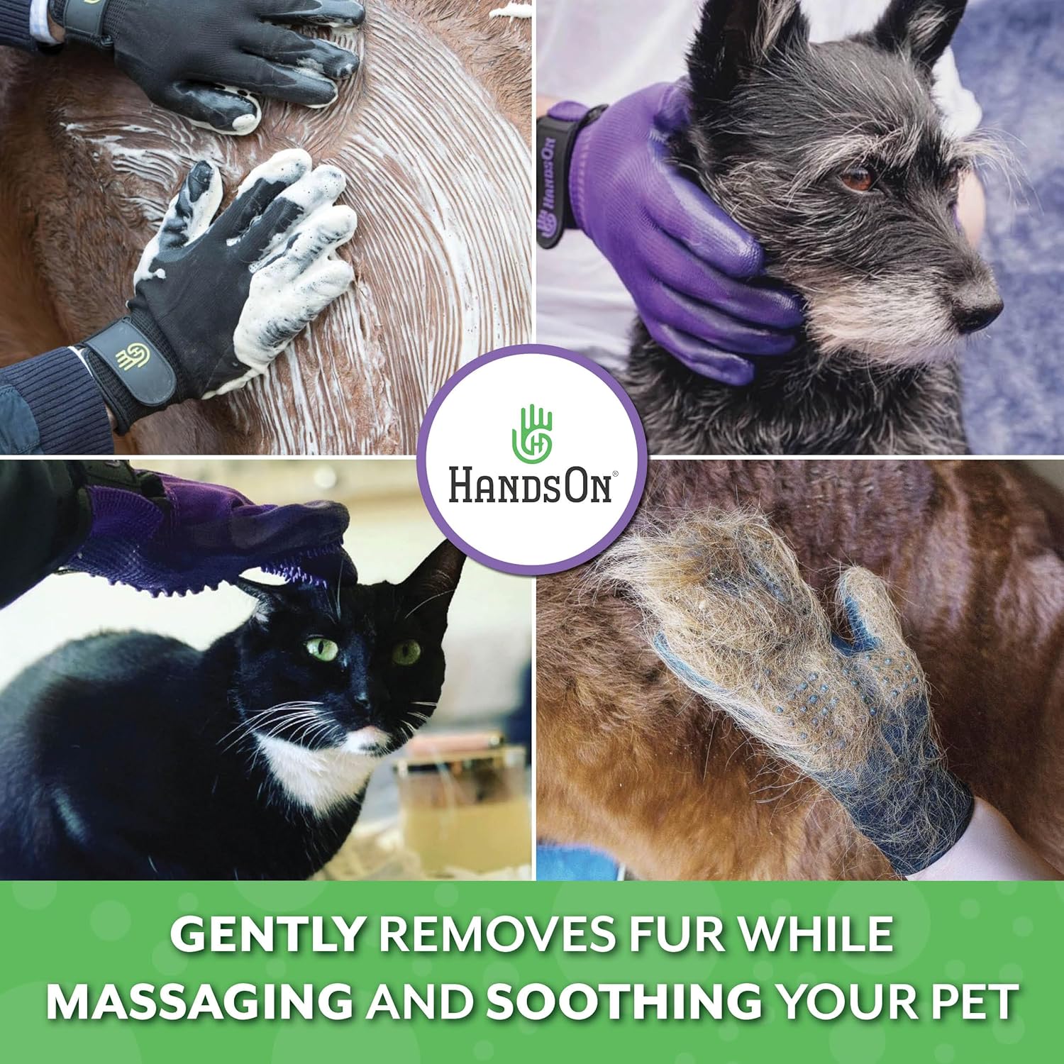 Piccardmeds4pets Ferret Aloe Oats Shampoo 12oz + HandsOn Grooming Gloves Small Combo
