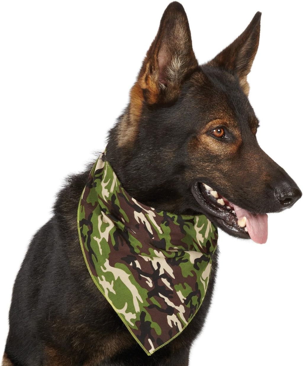 Aria Pet Bandana for Your All American Hound or Outdoor Dogs, Green Camo