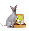 4-HAIRLESS PETS *DOG RESTORATIVE KIT