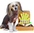 4-HAIRLESS PETS *DOG SENSITIVE KIT