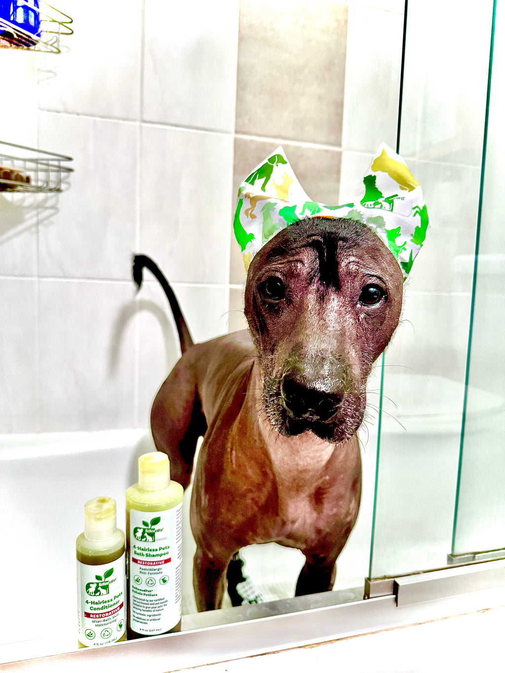 4-ALL PETS SHOWER / EAR / SUN CAP!