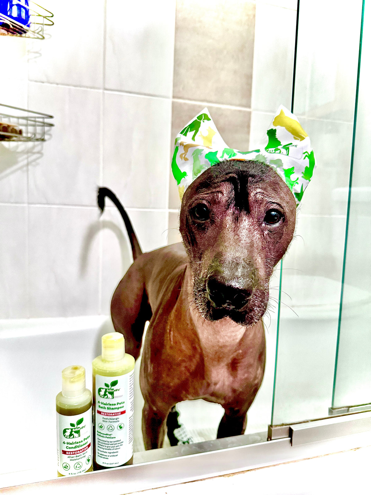 4-ALL PETS SHOWER / EAR / SUN CAP!
