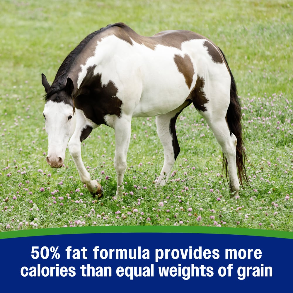 Farnam Equine Weight Builder 7.5 lbs Weight Support Supplement for Horses