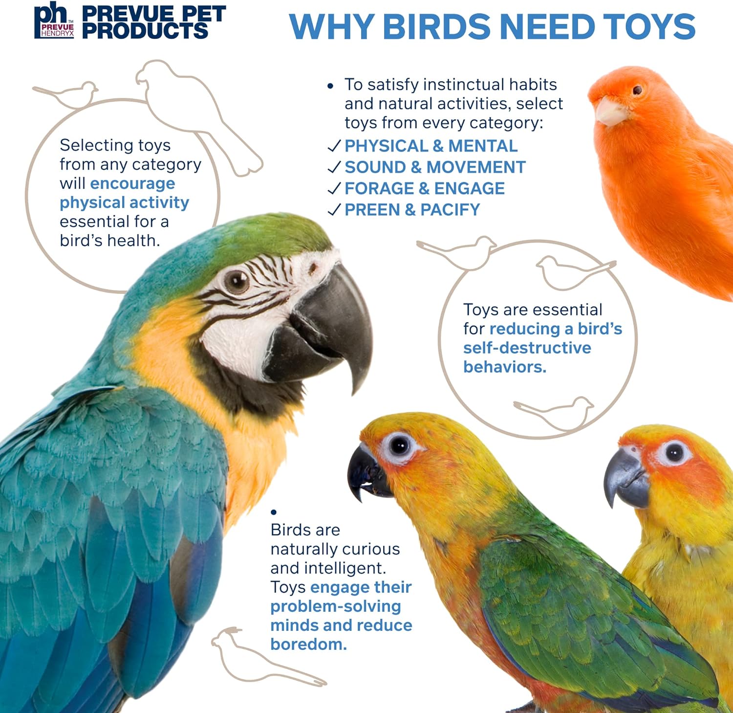Prevue Pet Products Laundry Day Bird Toy