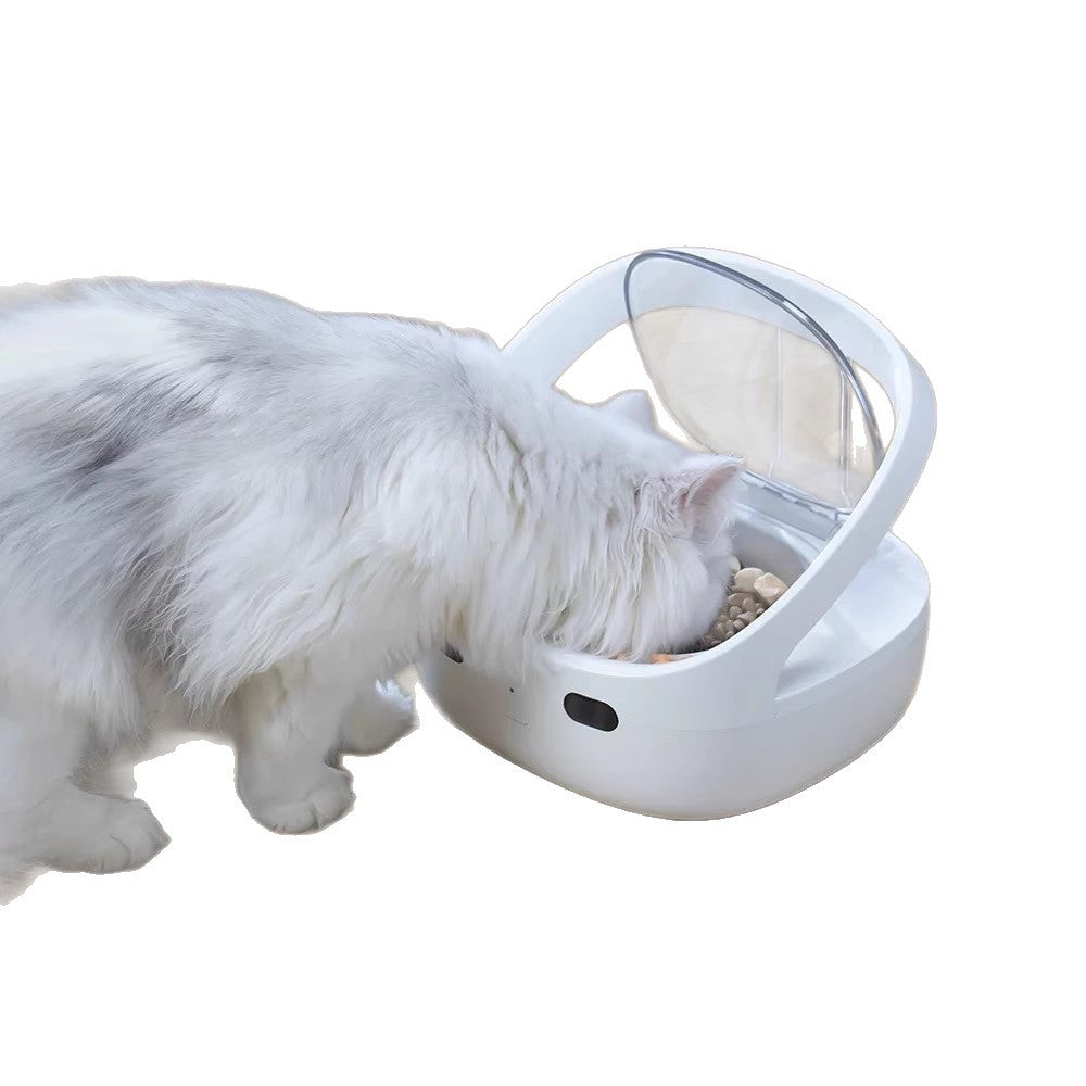 Smart Pet Feeder Prevent Stealing Accurate