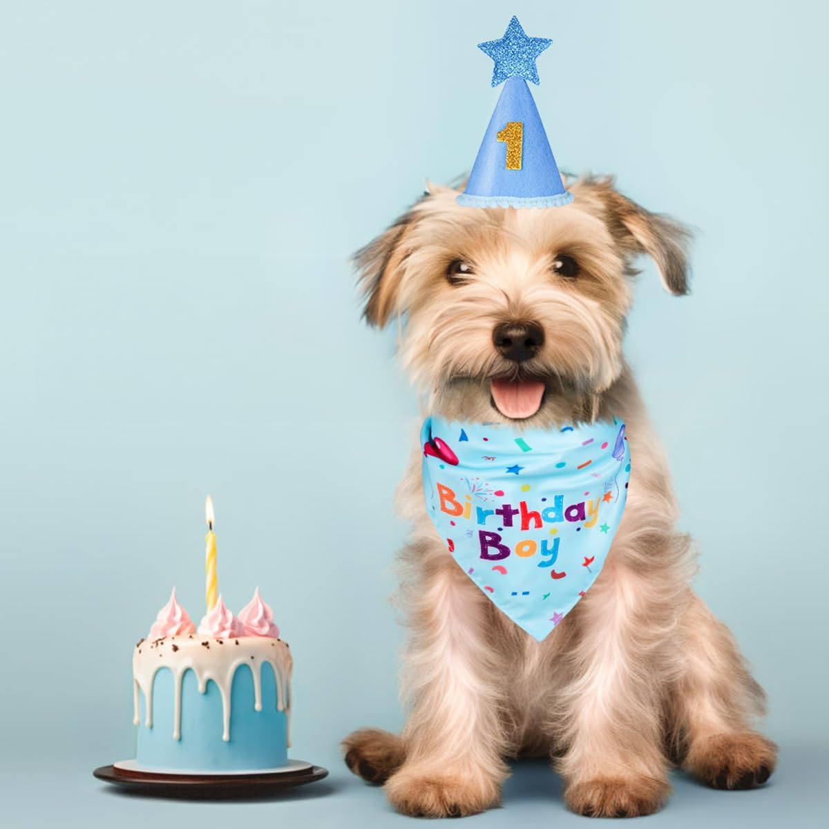 Dog Birthday Party Supplies – Premium Bandana & Hat Set for Dogs