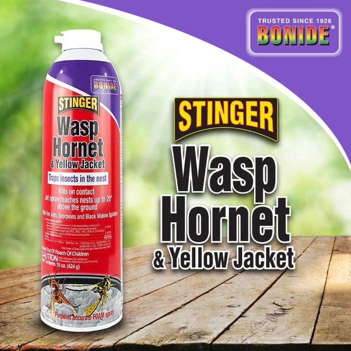 Bonide Stinger Wasp & Hornet Foam