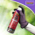Bonide Stinger Wasp & Hornet Foam