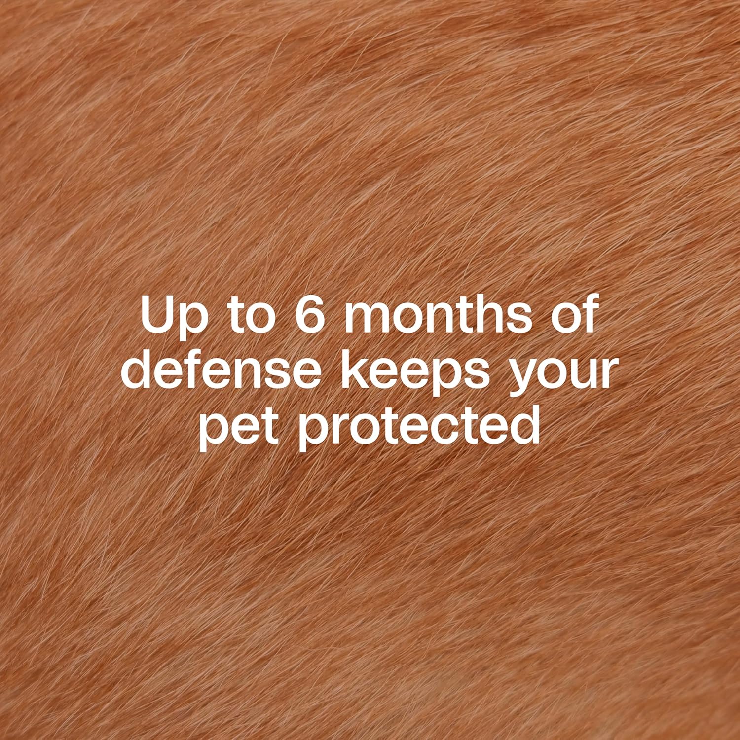 Adams Flea & Tick Collar for Dogs & Puppies Flea Collar Protection 2 Count