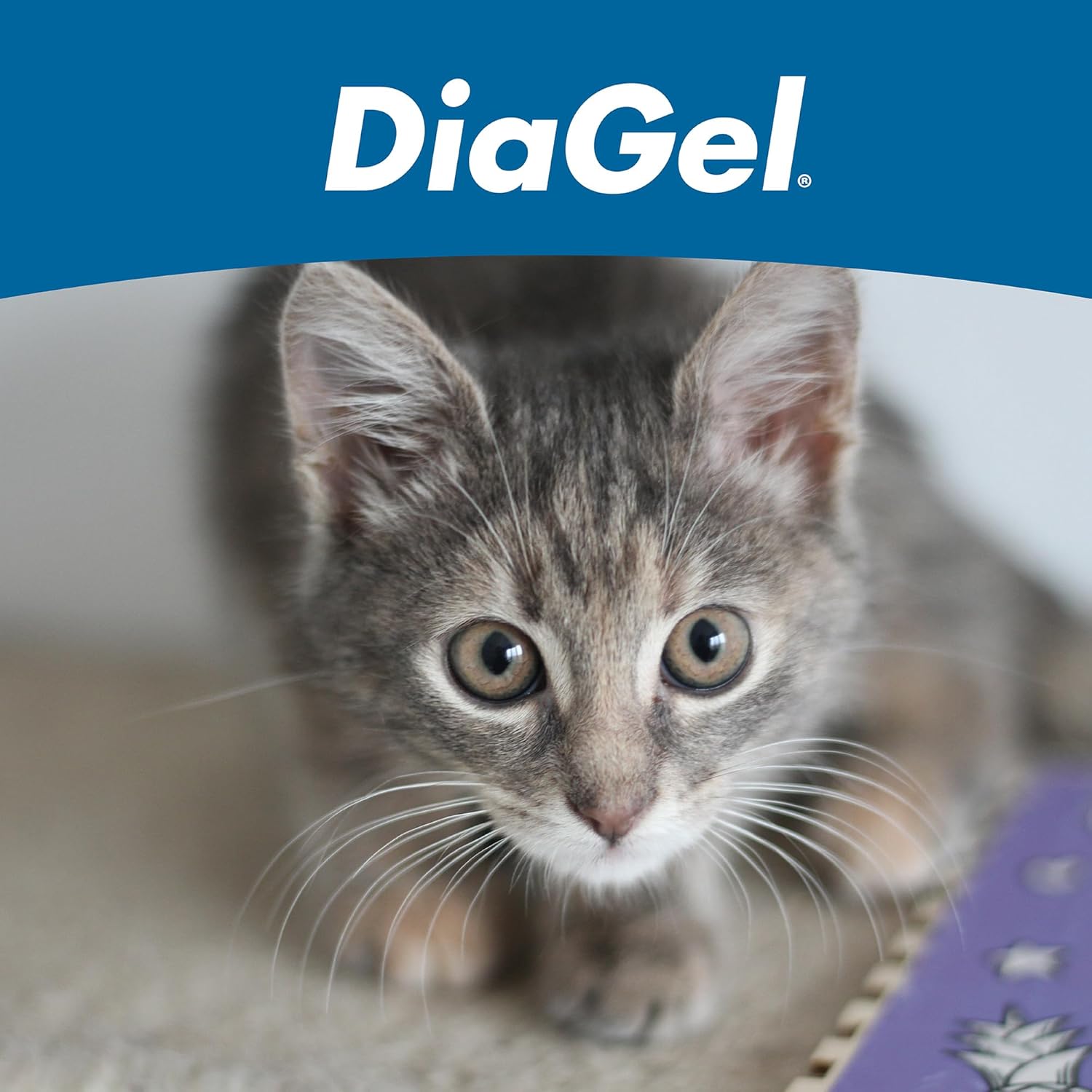 DiaGel for Cats 1 ml Oral Gel Loose Stools Digestive Upset Natural Support
