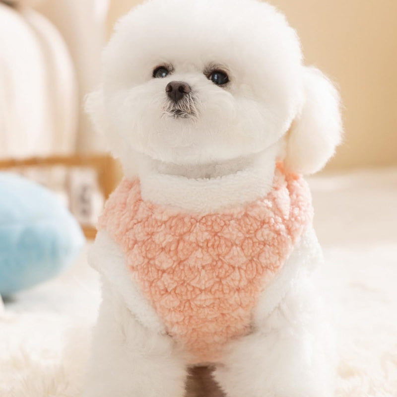 Cozy Winter Plush Dog Jacket Soft Fleece Lining Adorable Patches Design Pet Coat For Small Medium Dogs With D Ring