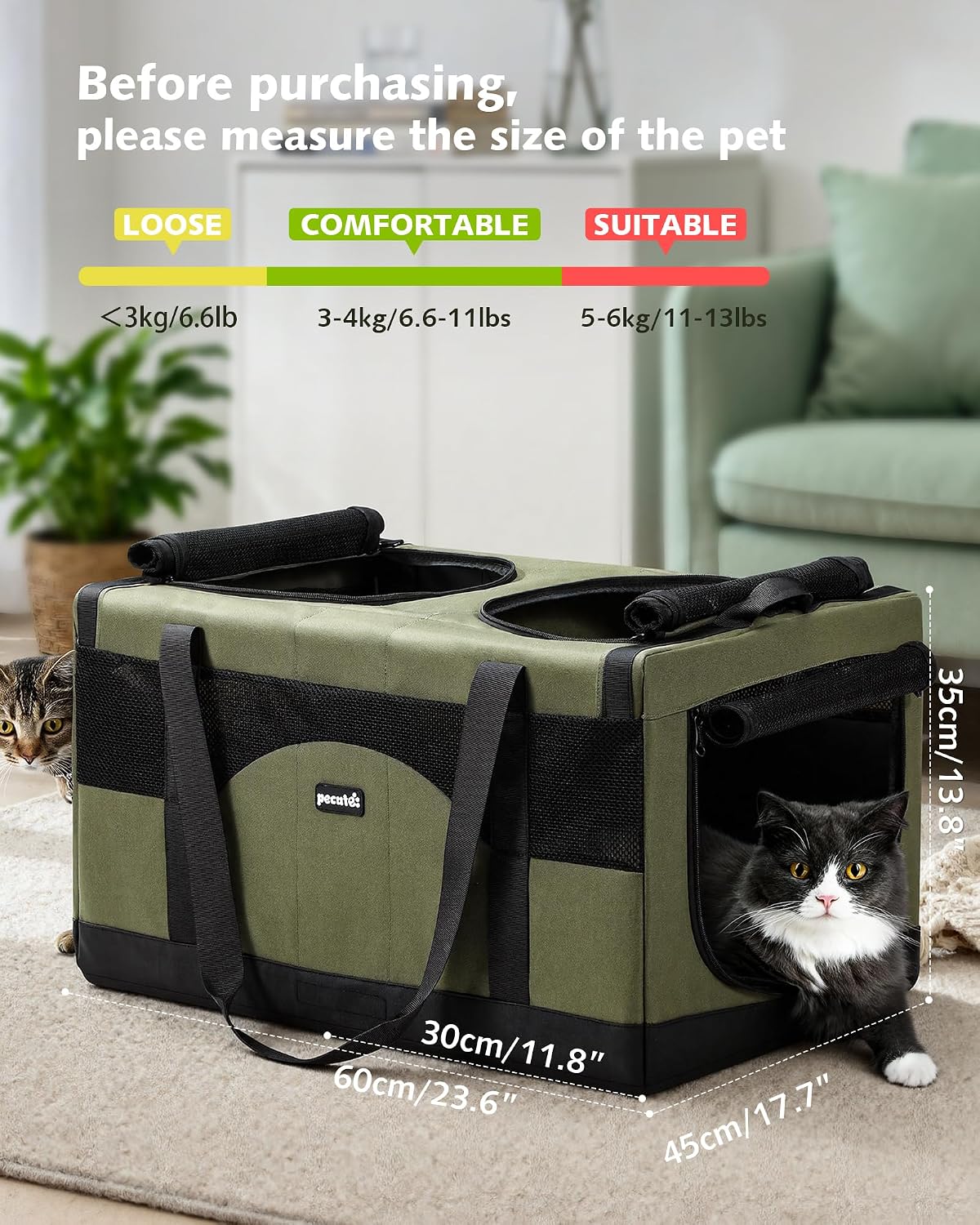 Large Double Cat Carrier with Removable Divider