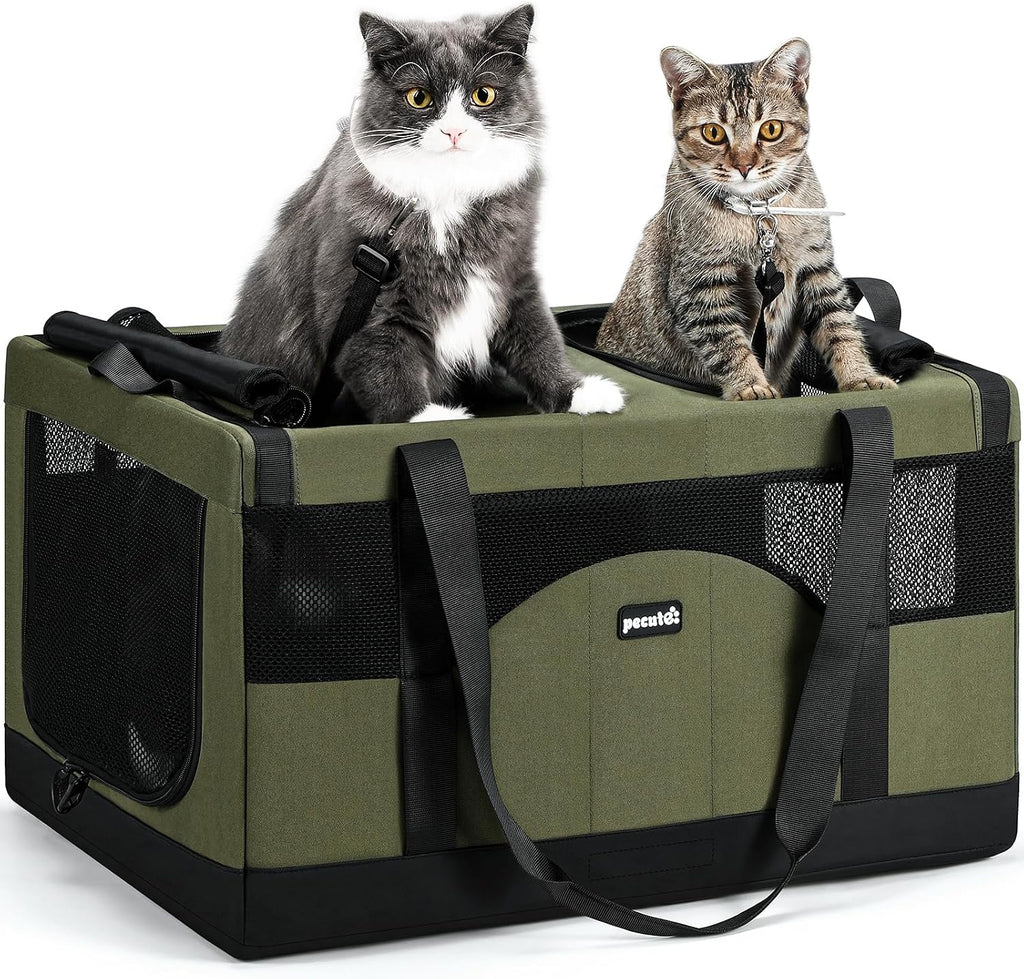 Large Double Cat Carrier with Removable Divider