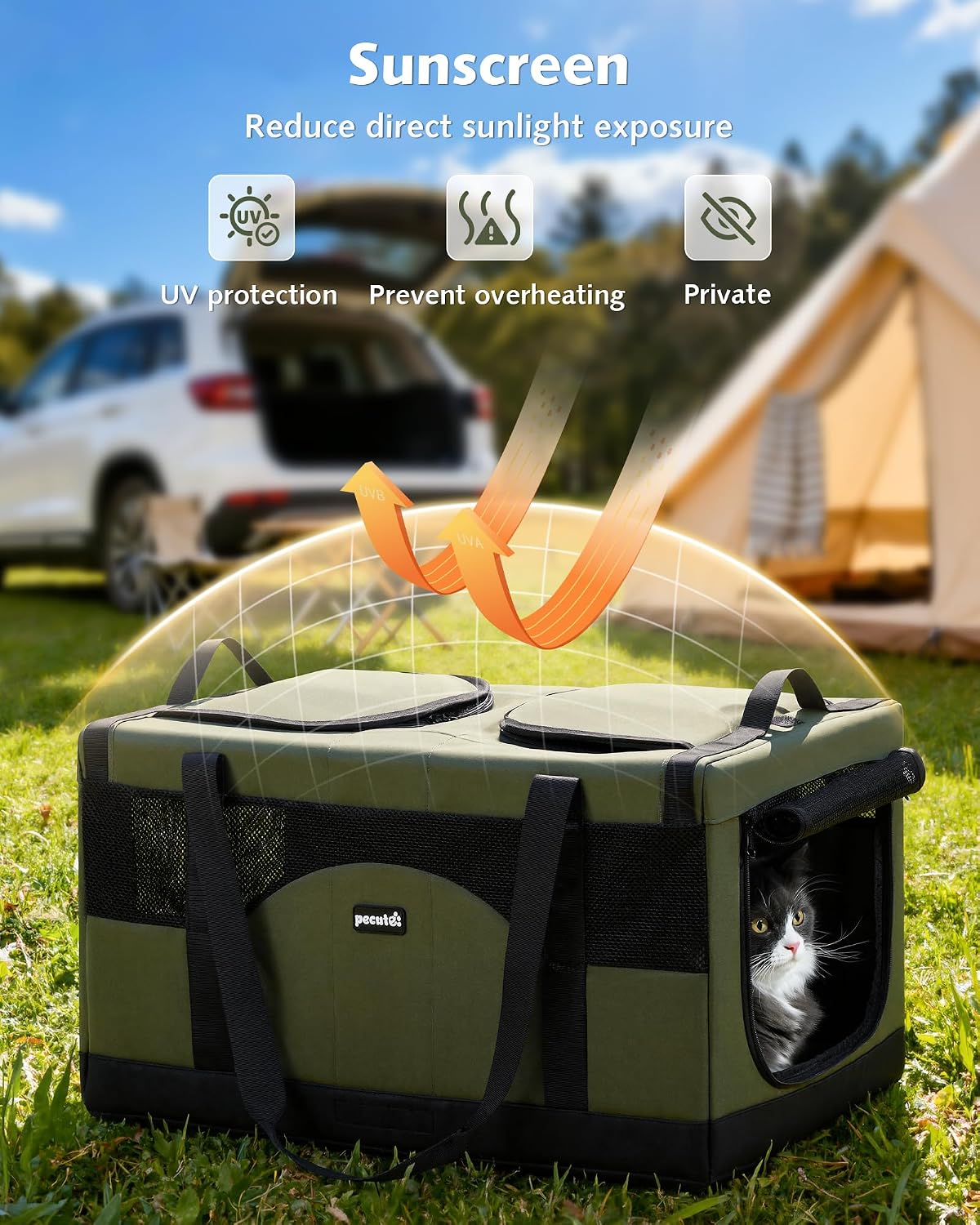 Large Double Cat Carrier with Removable Divider