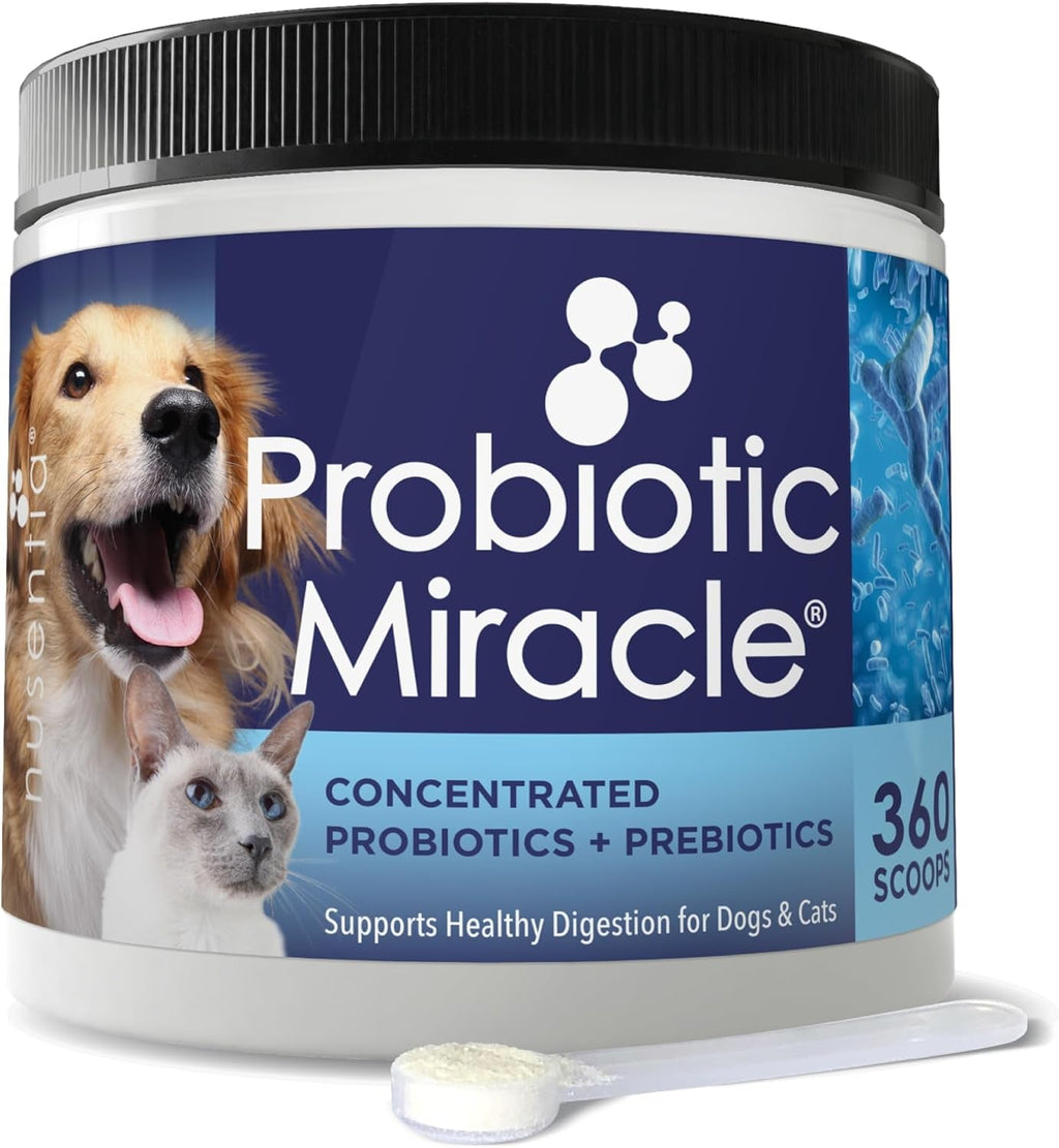 Dog Probiotics Powder 360 Scoops Digestive Enzyme Diarrhea Relief Immune