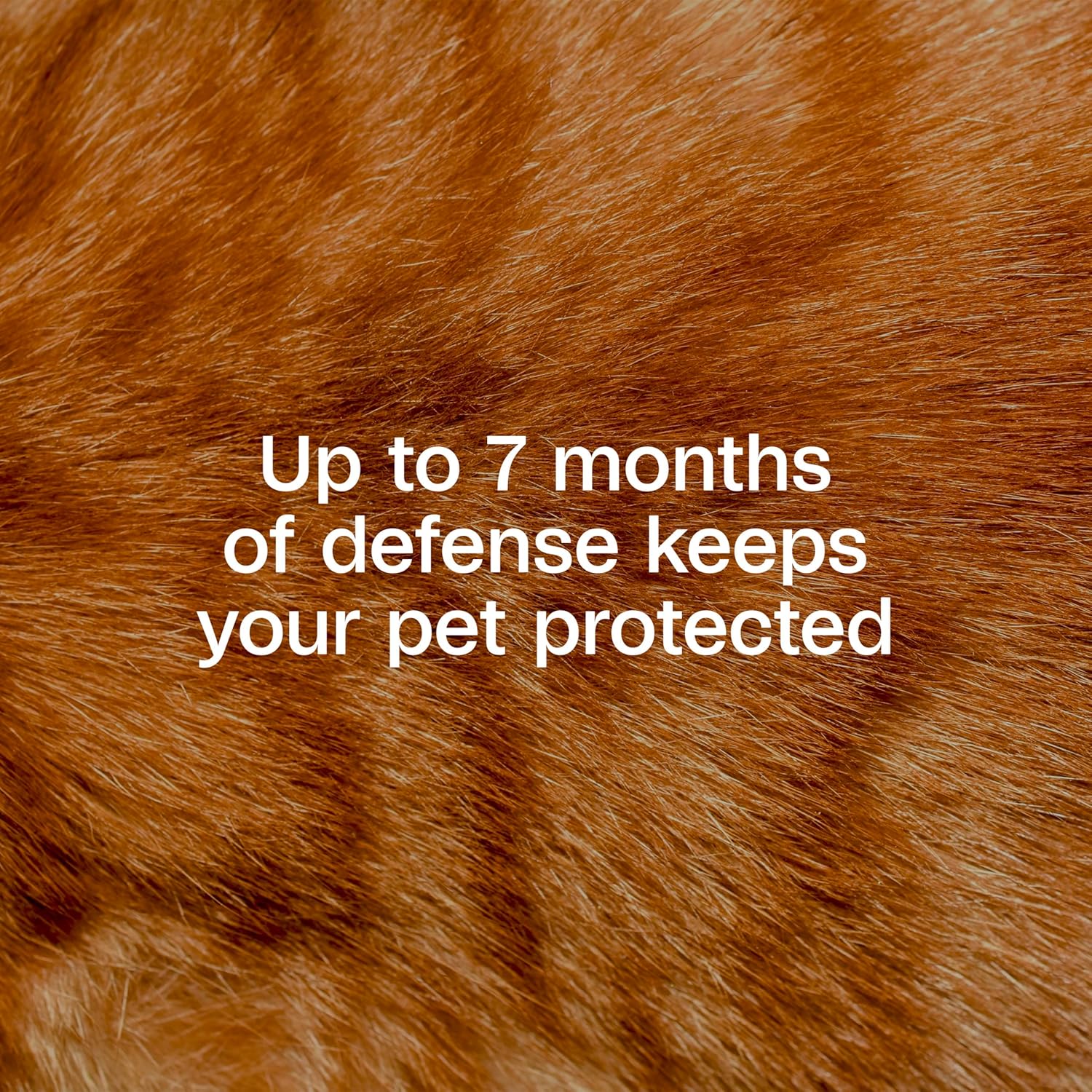 Adams Plus Flea & Tick Collar for Cats Water-Resistant Up to 7 Months Protection
