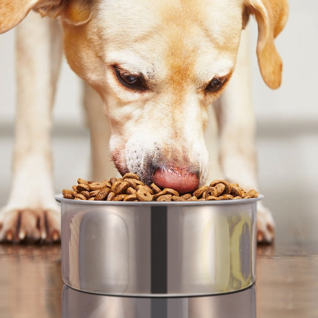 Stainless Steel Dog Bowl, Hanging Pet Food & Water Bowl with Clamp Holder, Detachable Cage Feeding Bowl
