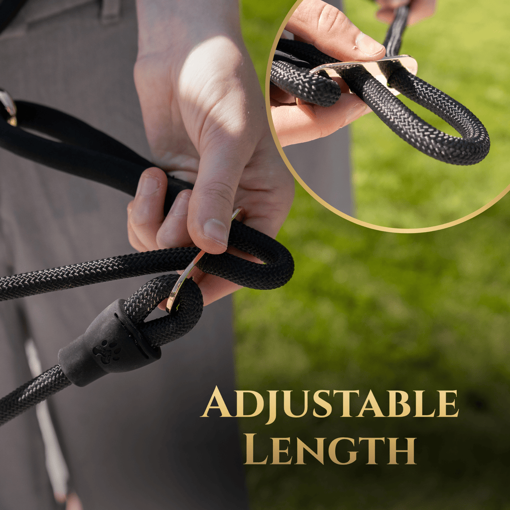 Calm Command © Hands Free, No-Pull Leash